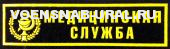 Нагр. нашивка Пласт. Обр.1993г. Медицинская служба
