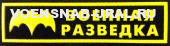 Нагр. нашивка Пласт. Обр.1993г. Военная разведка (фон черный)