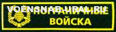 Нагр. нашивка Пласт. ФПС, Пограничные Войска (фон зеленый)