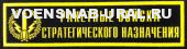 Нагр. нашивка Пласт. Обр.1993г. Войска РВСН