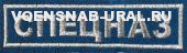 Нагр. нашивка Выш. "СПЕЦНАЗ", серебром (фон голубой)