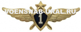0801-1110 Знак Классность Офицера ВВС № 1